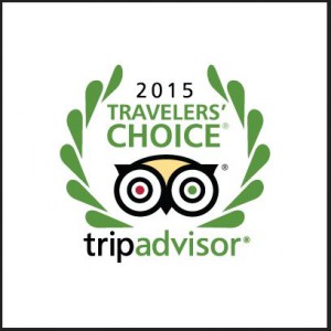 2015 Travelers Choice